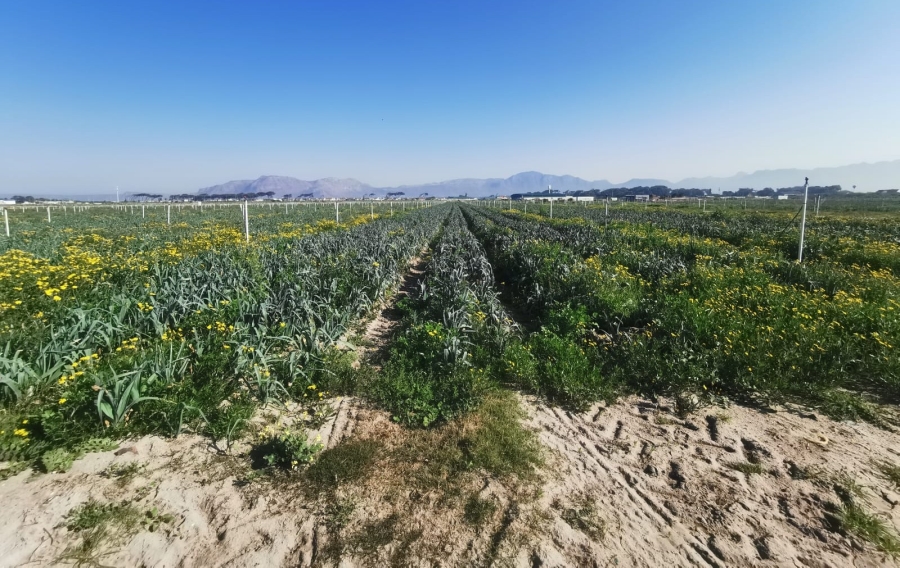 Commercial Property for Sale in Schaap Kraal Western Cape
